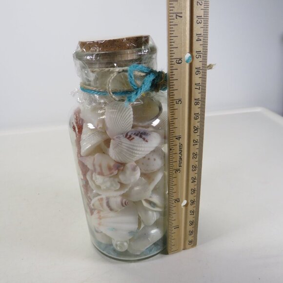 Jar of REAL white sea shells w dried red sea fan, Glass w cork lid (over 1 pound - Picture 6 of 10